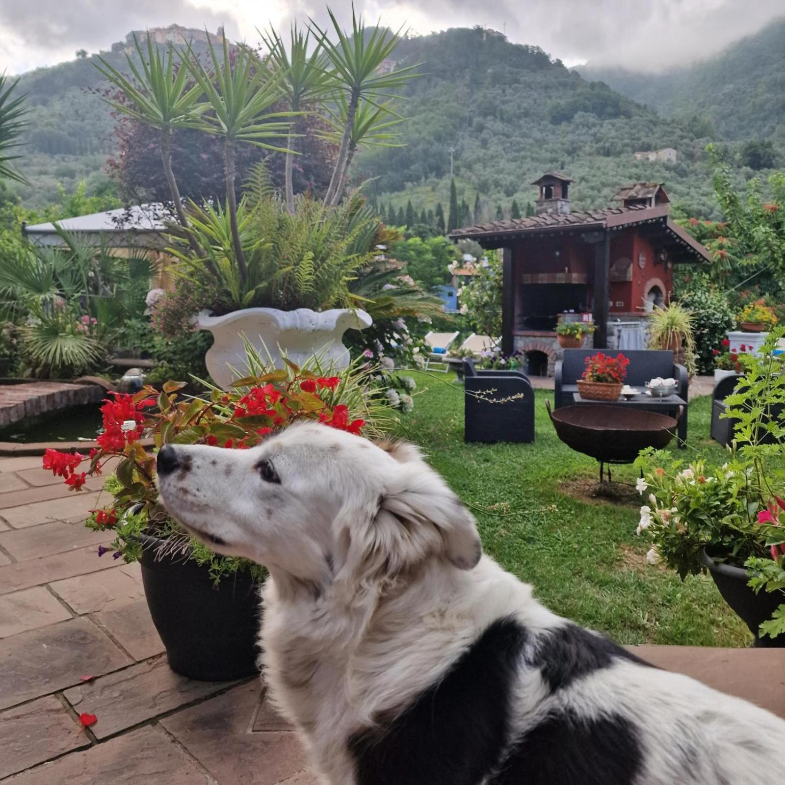 Jasmine Cottage Luni ภายนอก รูปภาพ