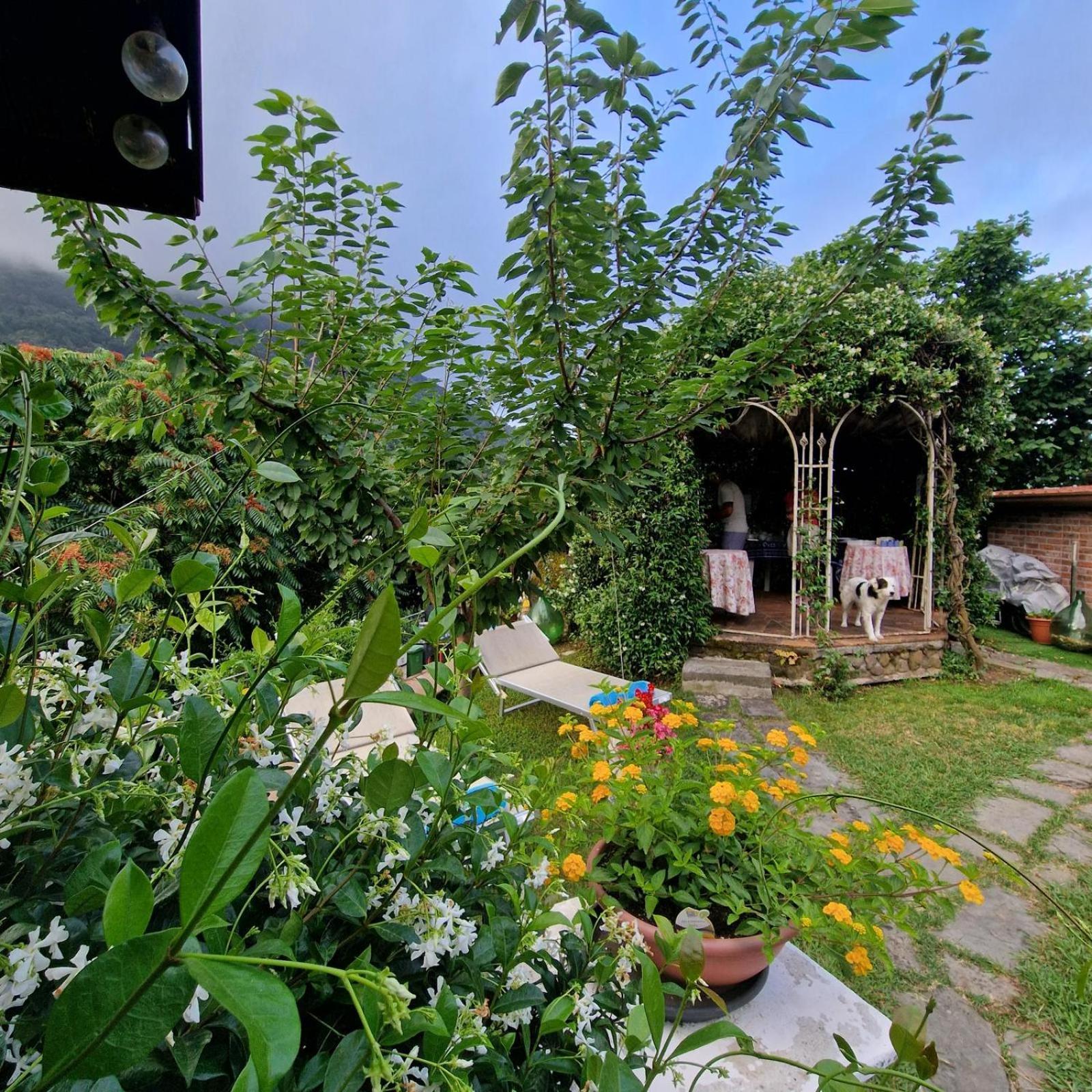 Jasmine Cottage Luni ภายนอก รูปภาพ